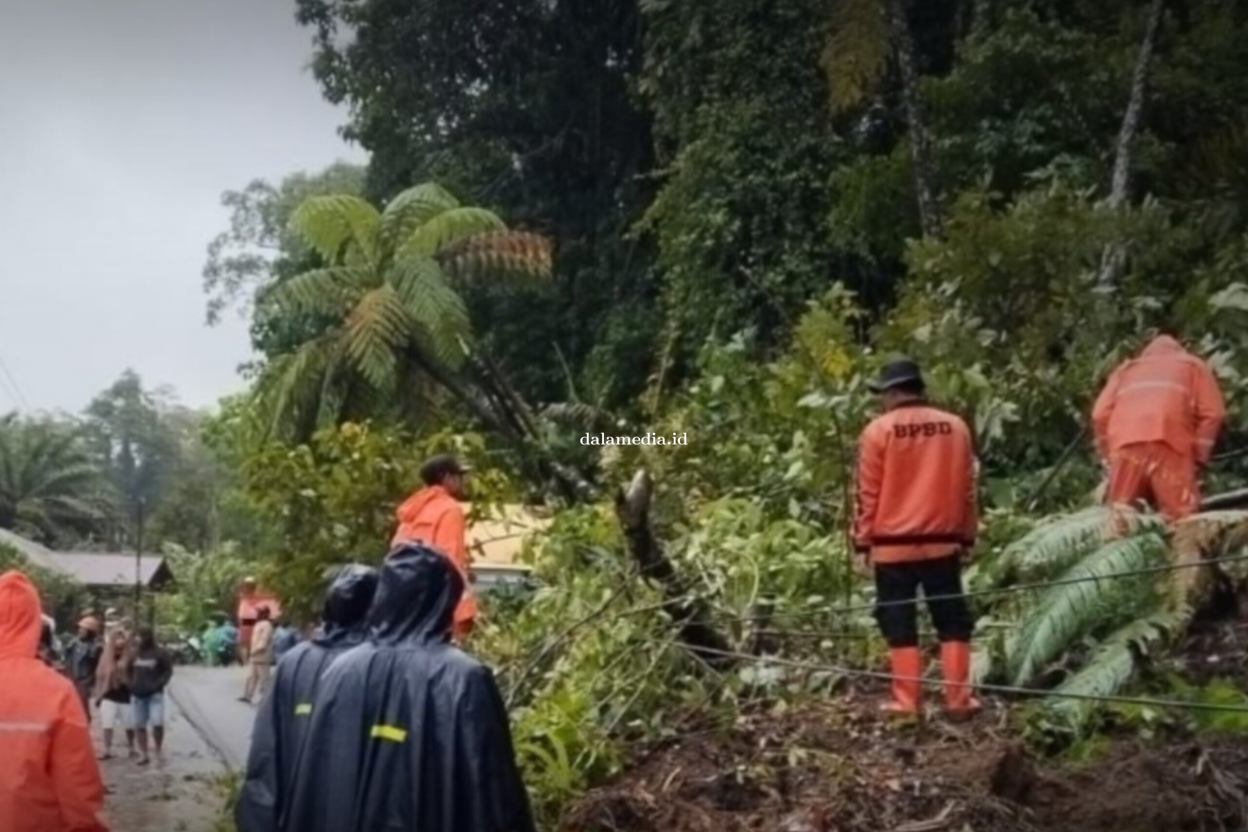 Bencana di Tapteng: Empat Tewas Akibat Banjir dan Longsor, Belasan Korban Dirawat